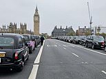 Black cabs line the streets of London on Remembrance Sunday to give free lifts to veterans who dutifully fought for our freedom when it mattered most