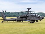 Boozed-up soldiers caught having sex in Apache helicopter: Drunken pair's cockpit romp sparks safety review