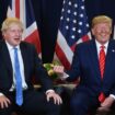 Boris Johnson wades into US election row backing Donald Trump and Elon Musk plan