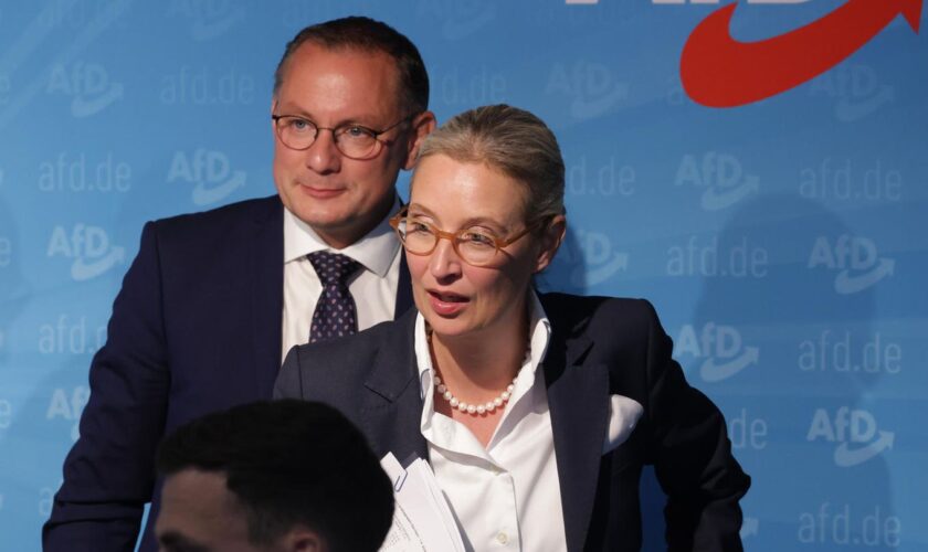 AfD-Chefs Weidel und Chrupalla: Brisante Forderungen im Wahlprogramm