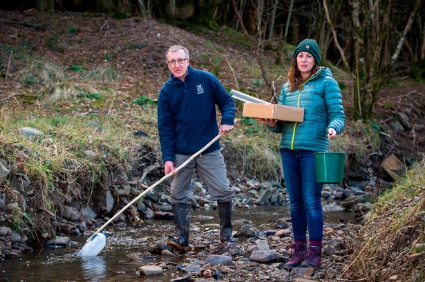 British rivers filled with almost 34,000 tonnes of toxic farming waste