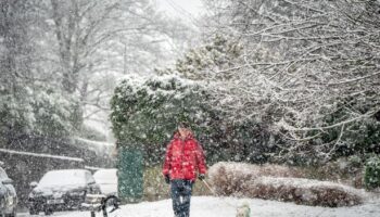 Brits brace for week-long Arctic blast with Met Office warning in full effect