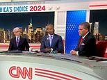 CNN panel stunned into silence as Republican pundit tells them the 'unadulterated truth' about Trump's election victory