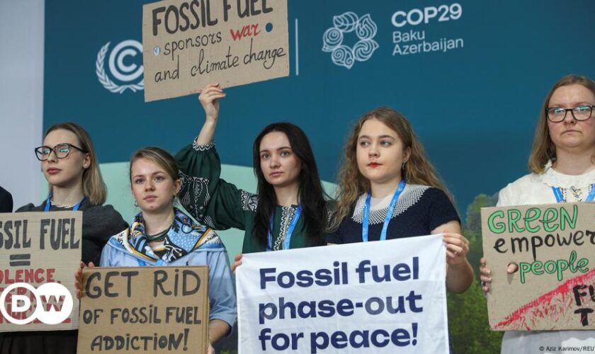 COP29: Experts call for reform in climate action process