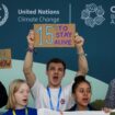 COP29 closes on promise to generate 'at least' $300 billion in climate funding