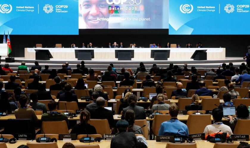 COP29 : les pays pauvres se résignent à un accord décevant