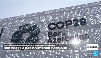 COP29 : un accord au goût amer pour les pays africains