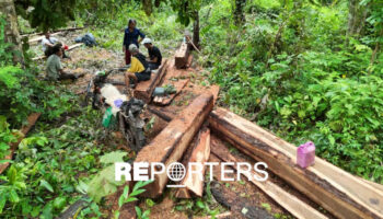 Cambodge : vrai carbone, faux crédits? Enquête sur une déforestation massive