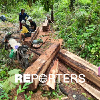 Cambodge : vrai carbone, faux crédits? Enquête sur une déforestation massive