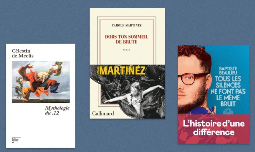 Célestin de Meeûs, Carole Martinez, Baptiste Beaulieu… Notre sélection livres de la semaine