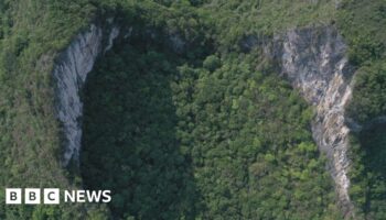 China's giant sinkholes are a tourist hit - but ancient forests inside are at risk