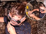 Coleen Rooney looks unfazed as she pulls a live cockroach out of her mouth during her first Bushtucker Trial in I'm A Celeb teaser