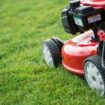 Common winter lawn care mistake that could be 'malnourishing your grass'