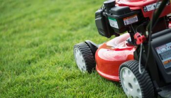 Common winter lawn care mistake that could be 'malnourishing your grass'