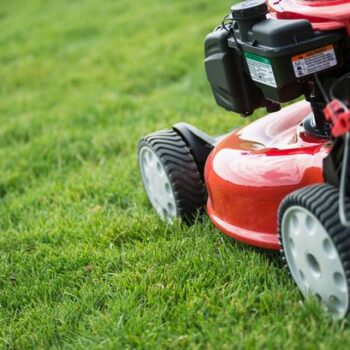 Common winter lawn care mistake that could be 'malnourishing your grass'