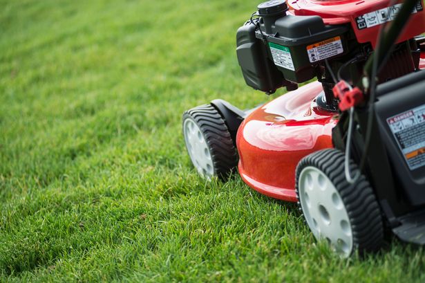 Common winter lawn care mistake that could be 'malnourishing your grass'