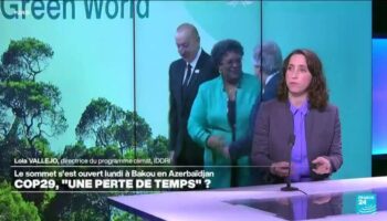 Cop29 : une "perte de temps" ou l'espoir de réelles avancées ?