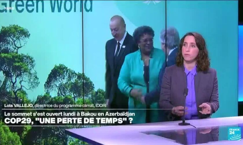 Cop29 : une "perte de temps" ou l'espoir de réelles avancées ?