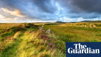 Cornish monument is 4,000 years older than was thought and ‘without parallel’