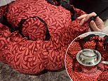 Could a non-electric slow cooker slash your winter fuel bills? We test making three meals in a quirky bag that looks like a cushion - with surprising results