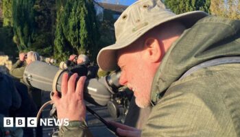 Crowds flock to quiet cul-de-sac after rare bird spotted on washing line