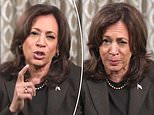 DAN MCLAUGHLIN: Kamala Harris's problem is an open secret. So why DO suicidal Democrat elites refuse to admit it?