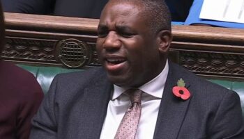 David Lammy confronted with past Donald Trump comments - 'woman-hating, neo-Nazi-sympathising sociopath'