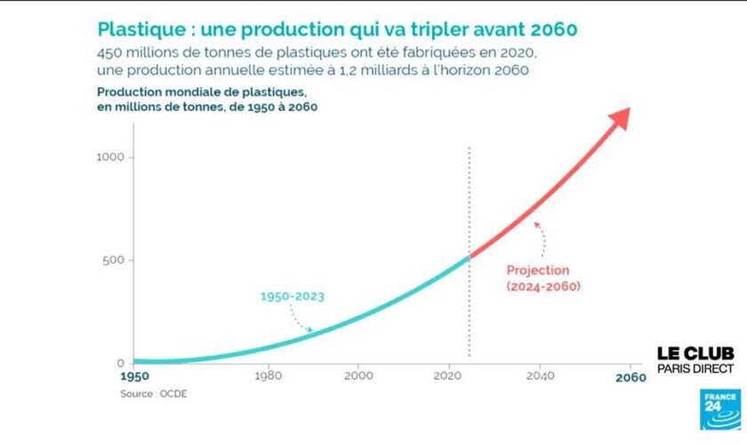 Déchets plastiques : pourquoi est-ce si difficile de trouver une alternative ?