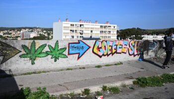 «Des montants faramineux» : deux frères grossistes de la drogue à la tête d’un empire prospère à Marseille