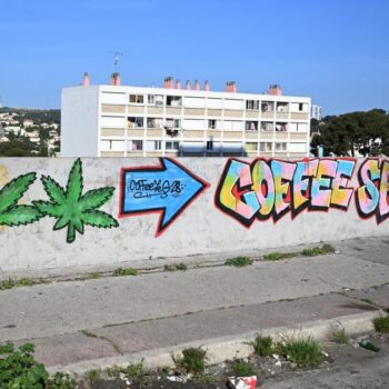 «Des montants faramineux» : deux frères grossistes de la drogue à la tête d’un empire prospère à Marseille