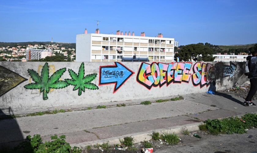 «Des montants faramineux» : deux frères grossistes de la drogue à la tête d’un empire prospère à Marseille