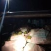 Detenidas tres personas por el robo de 560 kilos de aguacate en una finca de Utrera