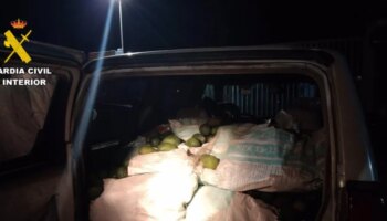 Detenidas tres personas por el robo de 560 kilos de aguacate en una finca de Utrera