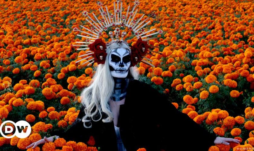 Día de Muertos und andere Totenrituale rund um den Globus