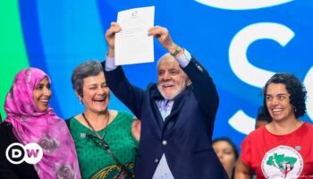 Did Brazil's G20 summit deliver on its promises?