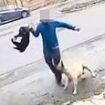 Dog attack ground zero caught on camera: The horrific maulings captured on video in the country's hotspot after police warned 'someone will die'