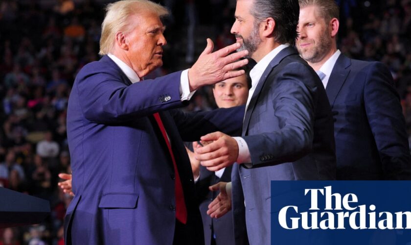 Donald Trump Jr emerges as key voice influencing father’s cabinet picks – report