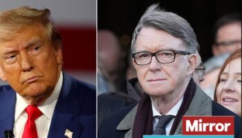 Donald Trump could block Peter Mandelson as ambassador over EU ties