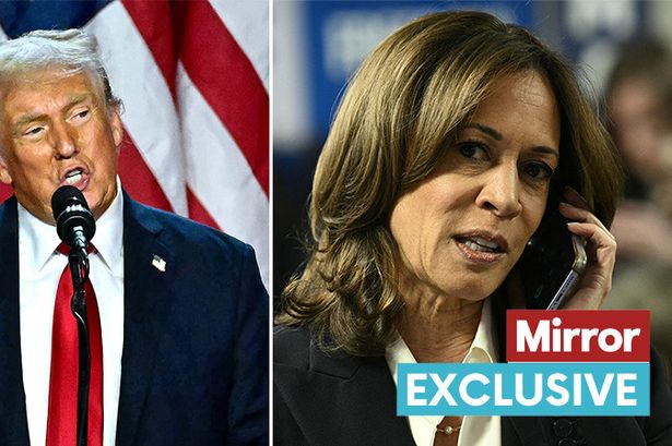 'Donald Trump voters are embarrassed - they robbed Kamala to avoid judgment’