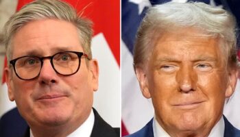 Donald Trump will not trust Sir Keir Starmer and see him as 'lightweight woke lefty'