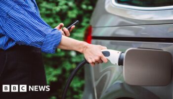 EV targets 'will not be weakened' despite pressure