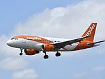 EasyJet to cut domestic flights after being hit by air passenger duty rise as incoming CEO hits out at Rachel Reeves for 'taxing the working person'