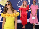 Elizabeth Hurley bucks the all-red theme in a vibrant yellow gown as she joins glamorous Samantha Armytage and Sylvia Jeffreys in leading the arrivals at the 2024 Melbourne Cup