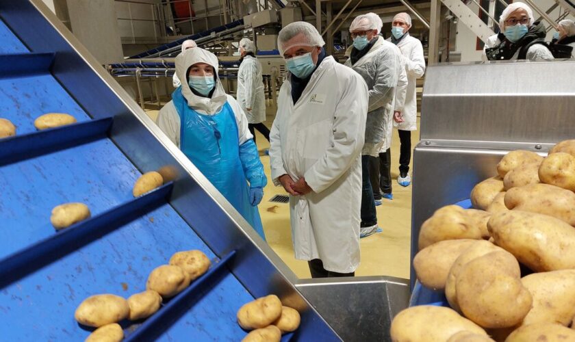 En Seine-et-Marne, Approv’Halles nourrit en circuit court les élèves de 119 cantines des collèges