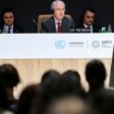 Ergebnis der Klimakonferenz COP29: Der Zitter-Gipfel von Baku