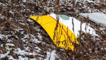 Auf einem Trümmerteil des abgestürzten Flugzeugs sind die DHL-Farben zu sehen. Foto: Mindaugas Kulbis/AP