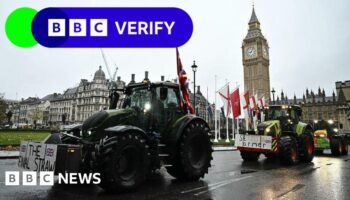 Farming tax row - BBC Verify on which figures are more reliable and why