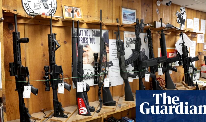 Federal judge strikes down Illinois assault weapons ban