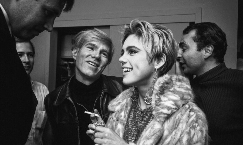 Fotografien von Steve Schapiro: Andy Warhol: Sein Aufstieg zum umschwärmten Superstar