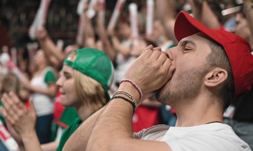 France-Israël – Pour camoufler les chants antisémites, le stade de France diffusera des cris de singe